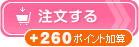 ベーシック20（＋260ポイント加算）